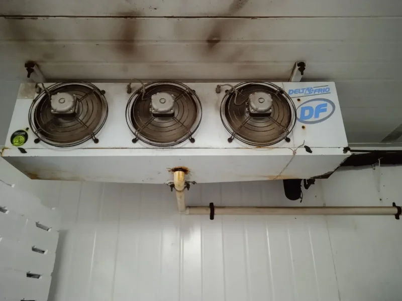 Manutenção de câmara frigorífica preço